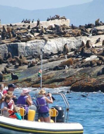 Simon's Town Boat Company