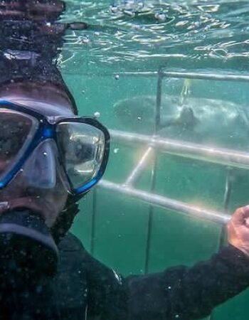 African Shark Eco-Charters