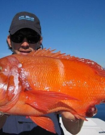 Big Blue Fishing Charters