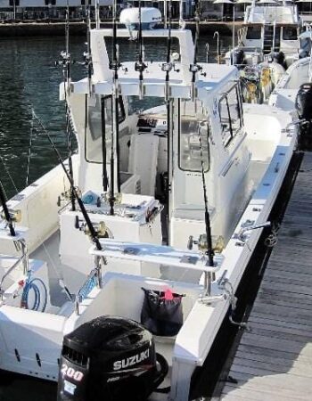 Big Blue Fishing Charters