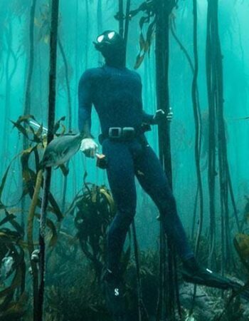 Impact Divers