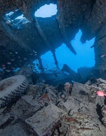Impact Divers