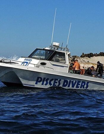 Pisces Divers