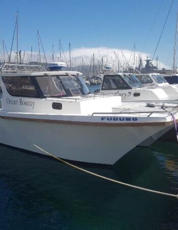 Big Blue Fishing Charters
