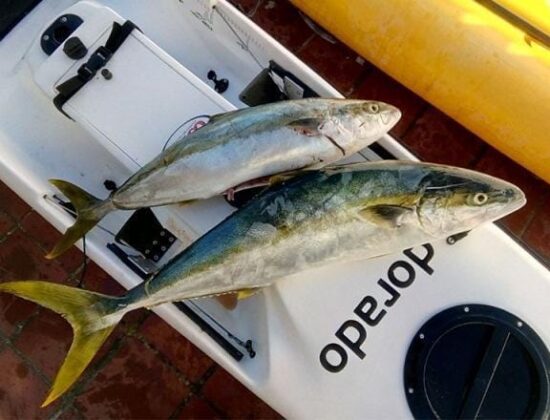 Kayak Fishing