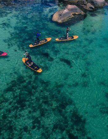 Stand  Up Paddle Center