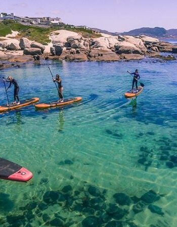 Stand  Up Paddle Center